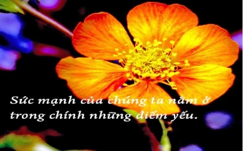 Cuộc sống không nhất thiết chuyện gì cũng phải phân rõ trắng đen